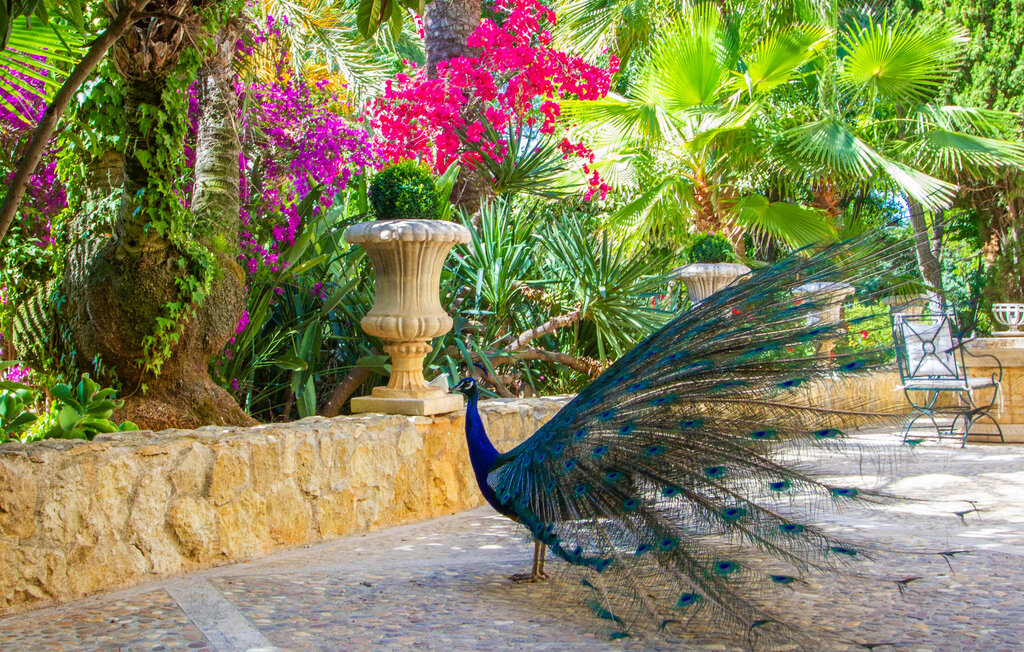 Ferienhaus - Santa Lucia, Binissalem , Spanien - EMF234 19