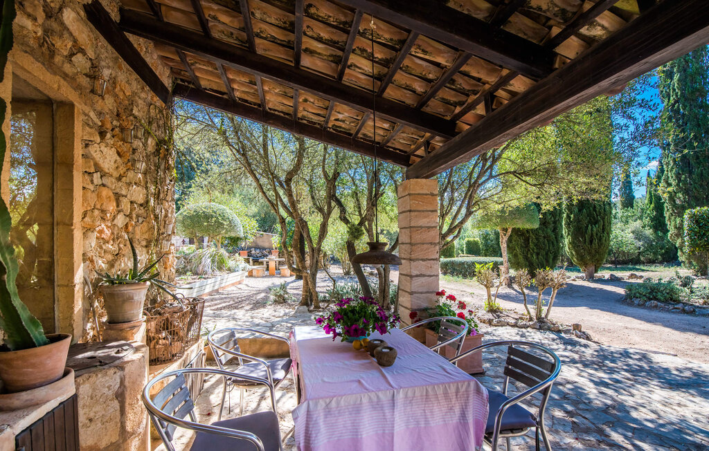 Ferienhaus - Bona Feina, Arta , Spanien - EMF166 22