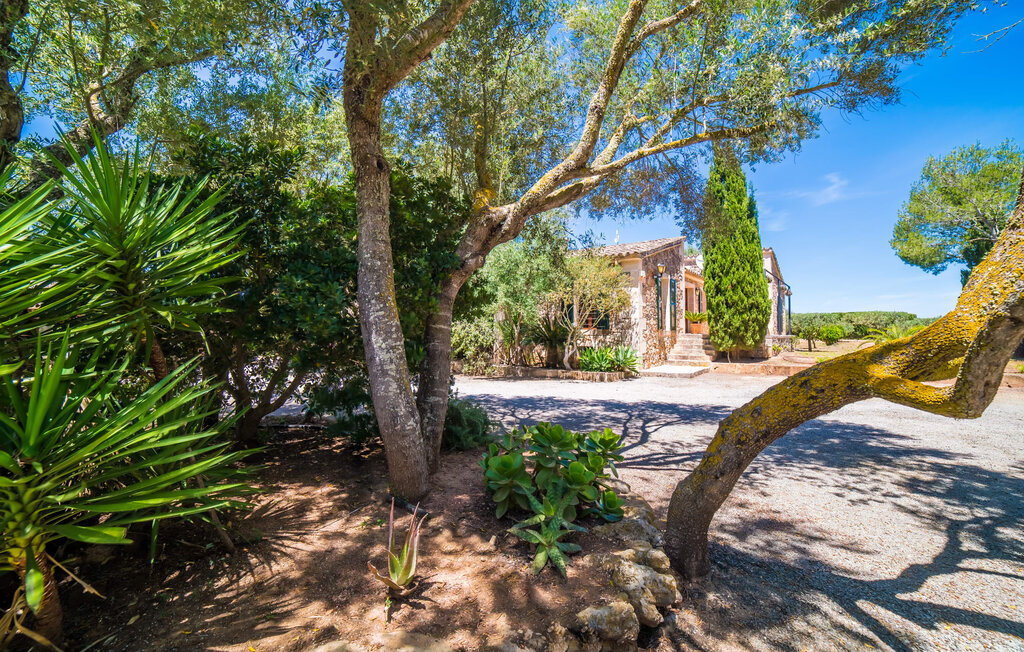 Location de vacances - Son Guillotet, Ariany , Espagne - EMF184 29