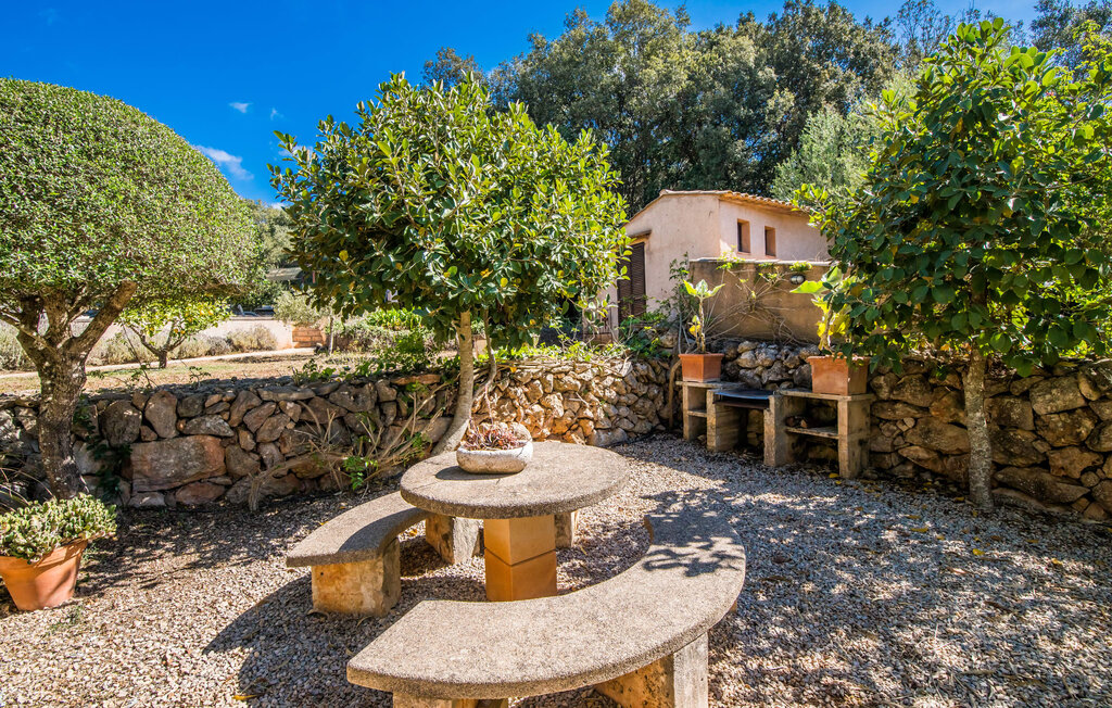 Ferienhaus - Bona Feina, Arta , Spanien - EMF166 9