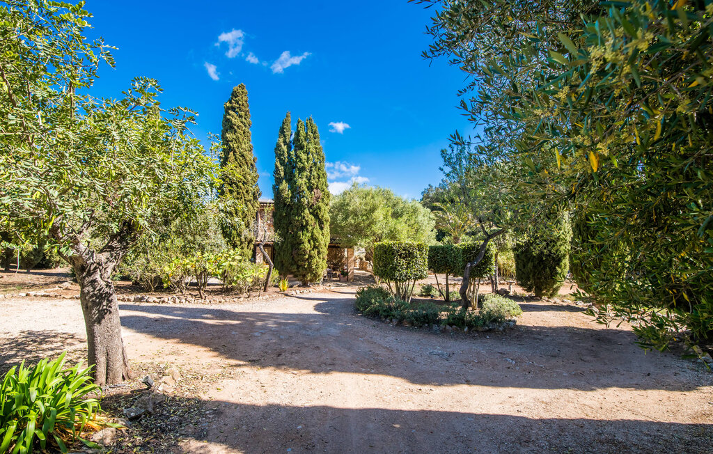 Ferienhaus - Bona Feina, Arta , Spanien - EMF166 29