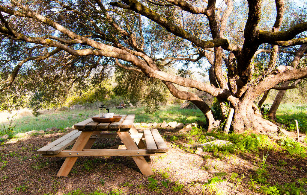 Location de vacances - Bona Sort, Arta , Espagne - EMF153 5