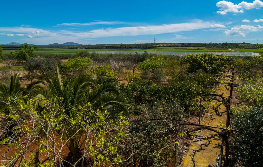 Ferienhaus - Campas, Ariany , Spanien - EMF174 25