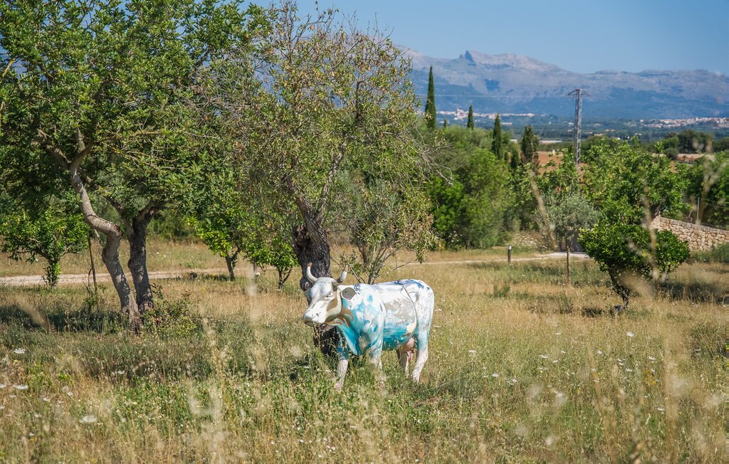 Ferienhaus - San Bartolo, Llubi , Spanien - EMF316 40