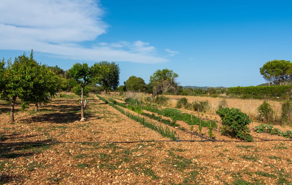 Feriehuse - Sa Granja, Arta , Spanien - EMF289 24