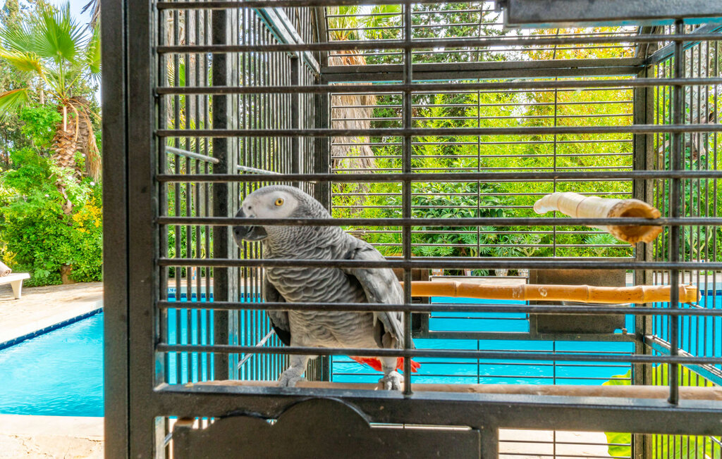 Feriehuse - Consell, Consell , Spanien - EMF290 8