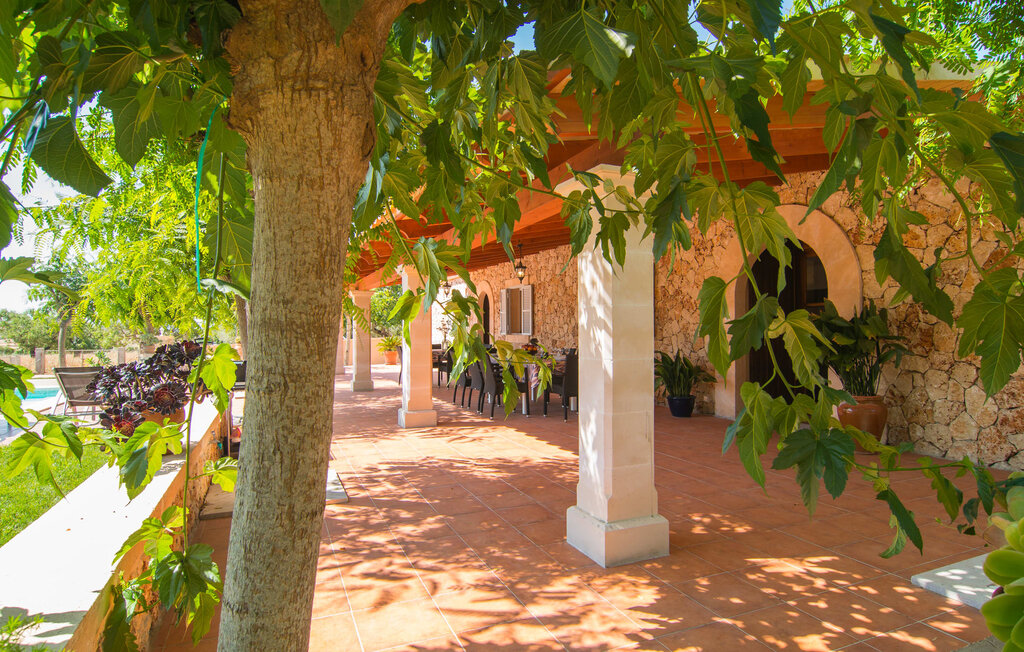 Ferienhaus - Sa Marila, Ariany , Spanien - EMF345 17