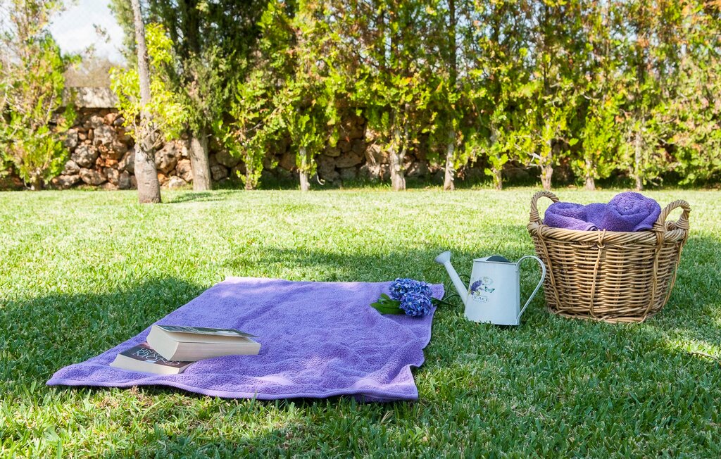 Kuća-za-odmor - Ca Na Picona, Can Picafort , Španjolska - EMF416 23