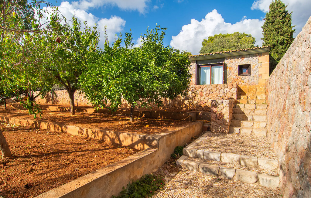 Ferienhaus - Can Gat, Bunyola , Spanien - EMF385 15