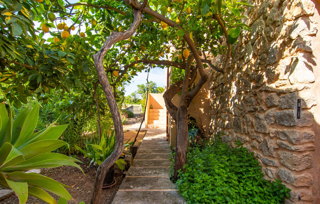 Feriehuse - Sa Granja, Arta , Spanien - EMF289 18