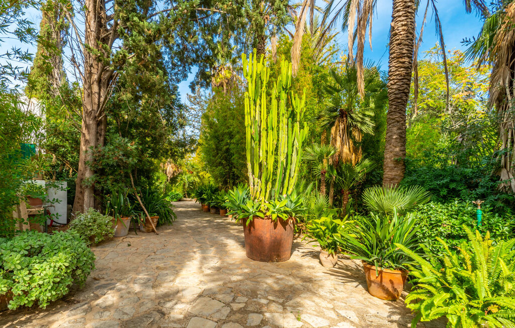 Feriehuse - Consell, Consell , Spanien - EMF290 17