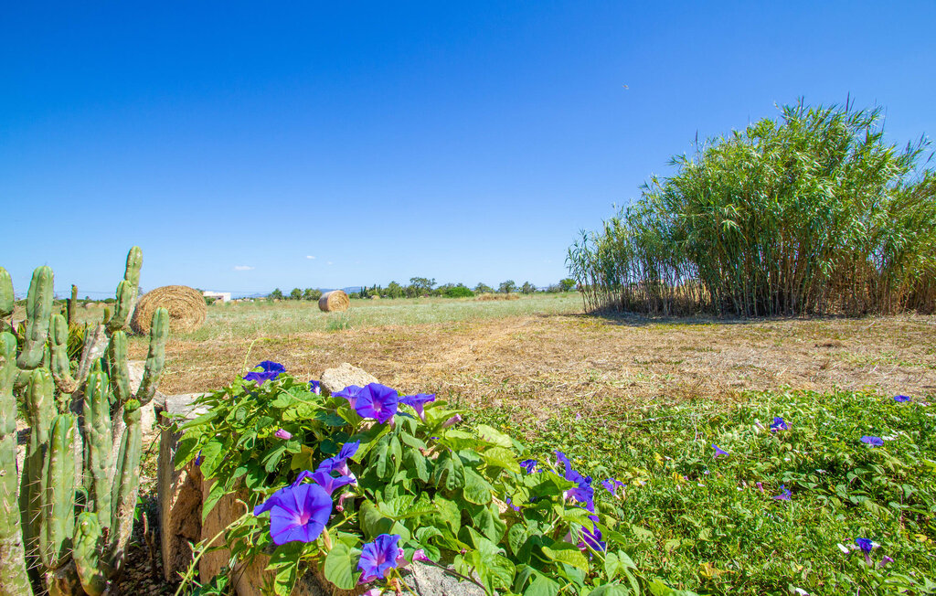 Kuća-za-odmor - Jara, Ses Covetes , Španjolska - EMF293 49