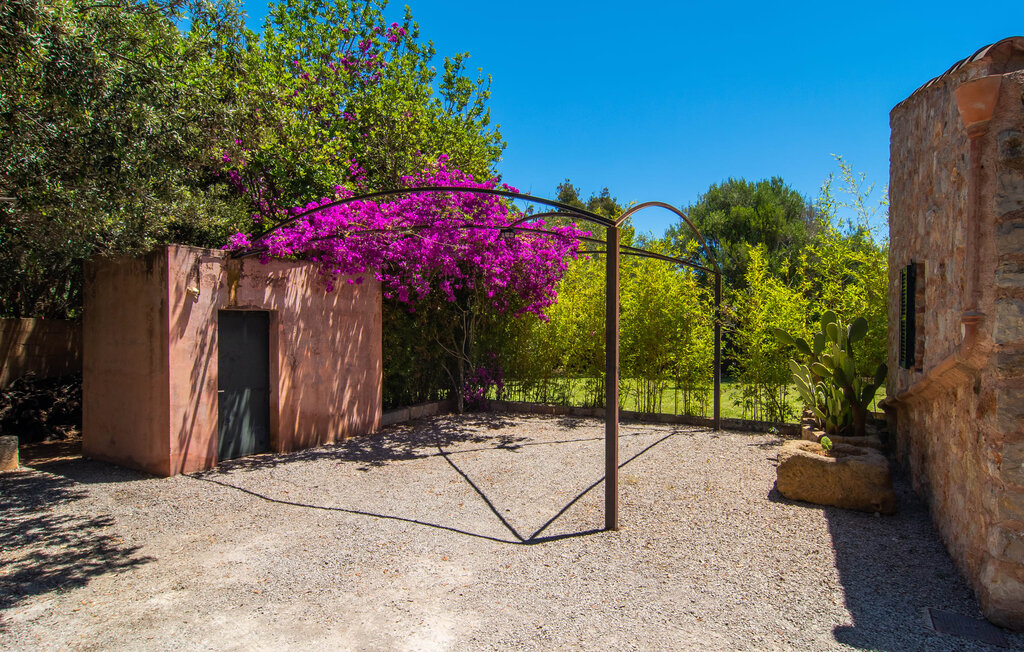 Ferienhaus - Plana Petita, Port Verd , Spanien - EMF301 25