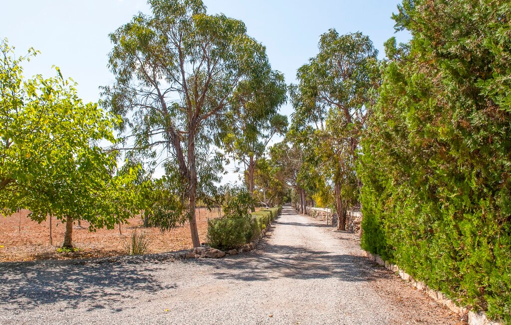 Kuća-za-odmor - Ca Na Picona, Can Picafort , Španjolska - EMF416 27