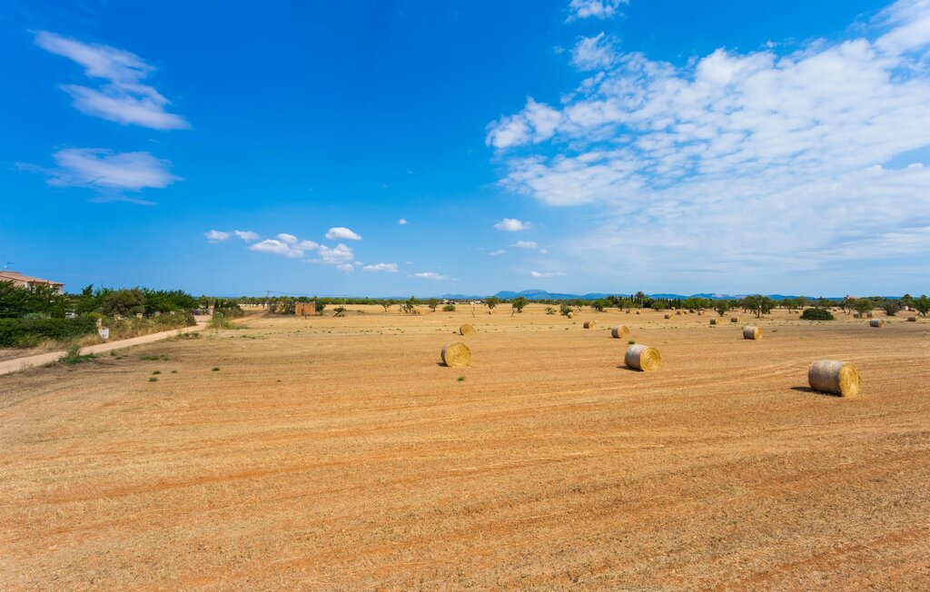 Kuća-za-odmor - Jara, Ses Covetes , Španjolska - EMF293 50