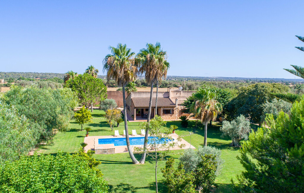 Ferienhaeuser - Can Rei, Campos , Spanien - EMF445 2
