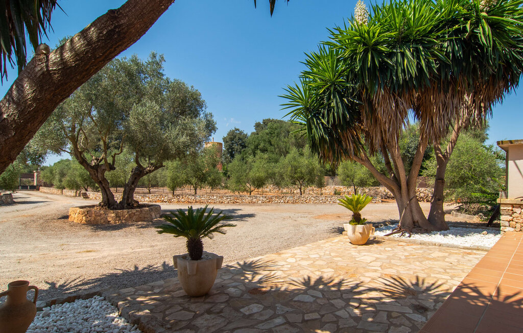 Kuća-za-odmor - Ailen, Felanitx , Španjolska - EMF428 19