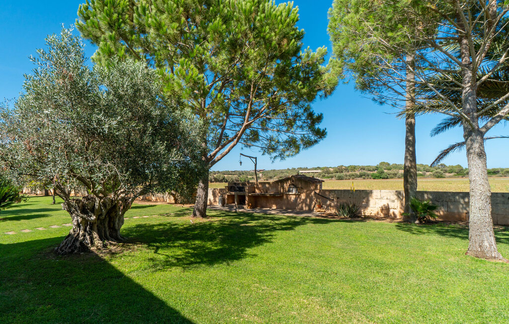 Ferienhaeuser - Can Rei, Campos , Spanien - EMF445 19