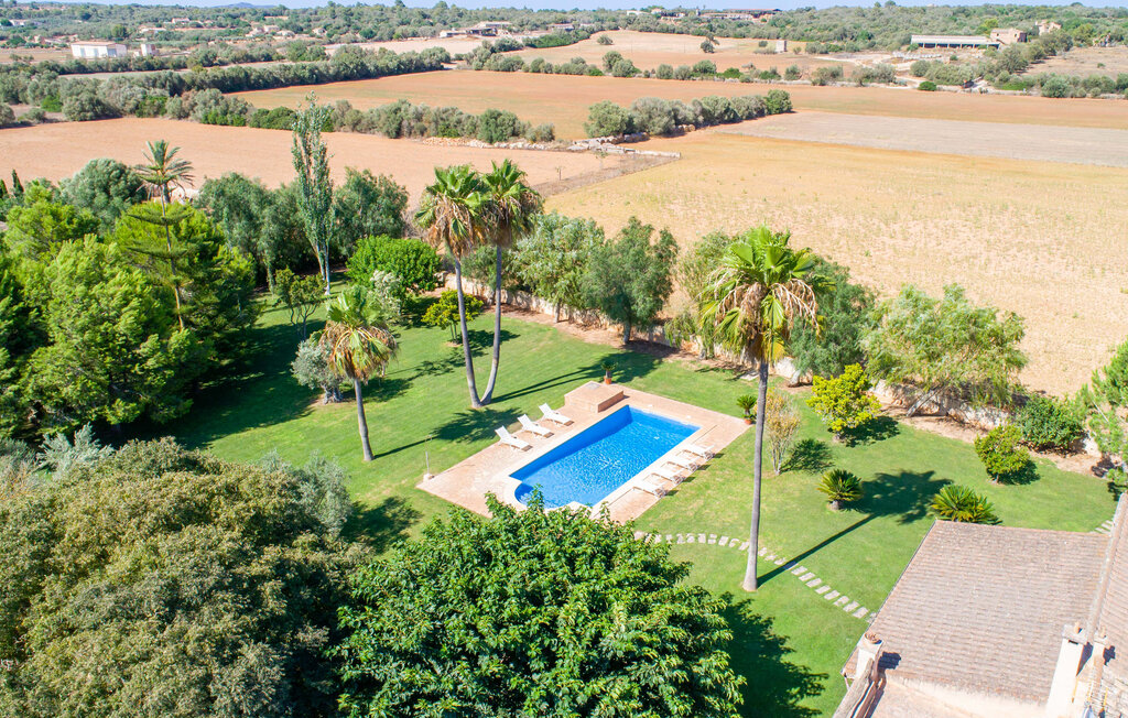 Ferienhaeuser - Can Rei, Campos , Spanien - EMF445 12