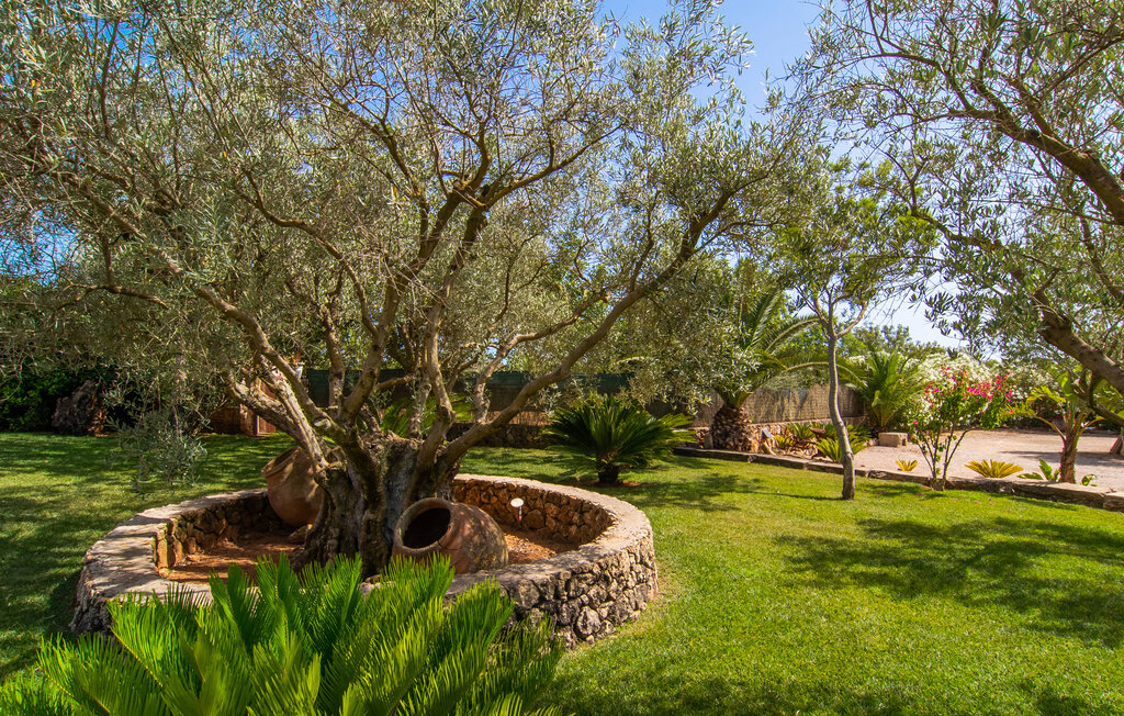 Location de vacances - Can Sanchez, Campos , Espagne - EMF482 24