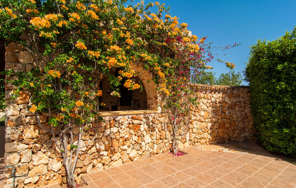 Location de vacances - Can Sanchez, Campos , Espagne - EMF482 26