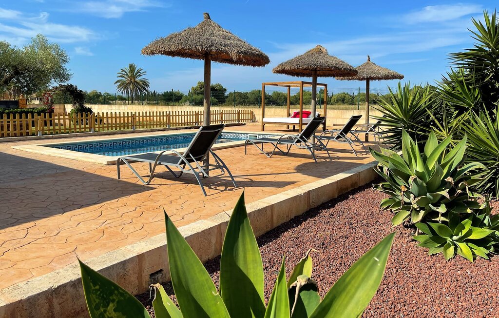 Location de vacances - Son Sea, Campos , Espagne - EMF462 4