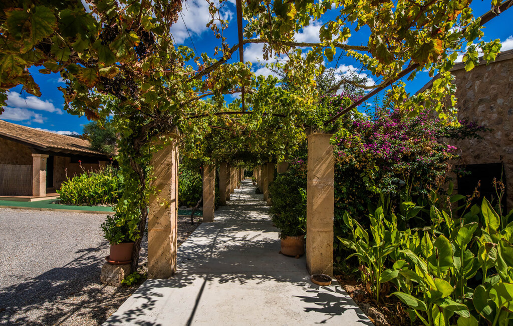 
Holiday rental - Impolia, Llucmajor , Spain - EMF467 19