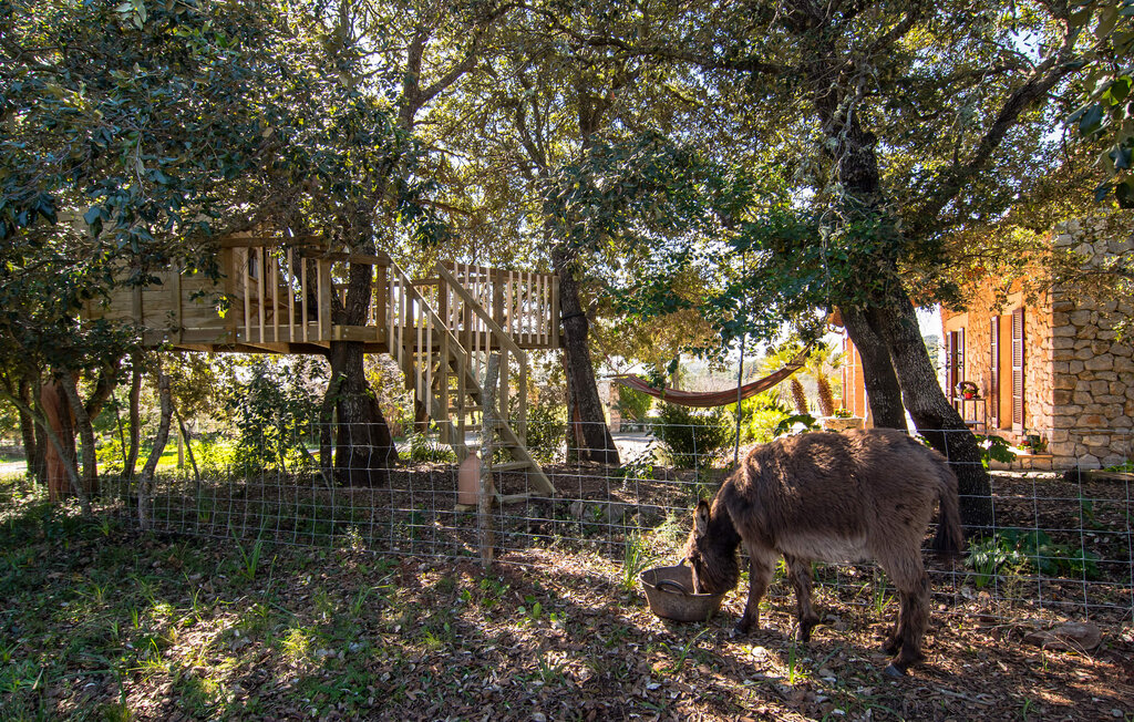 Feriehuse - Els Nou Cortons, Son Servera , Spanien - EMF479 46