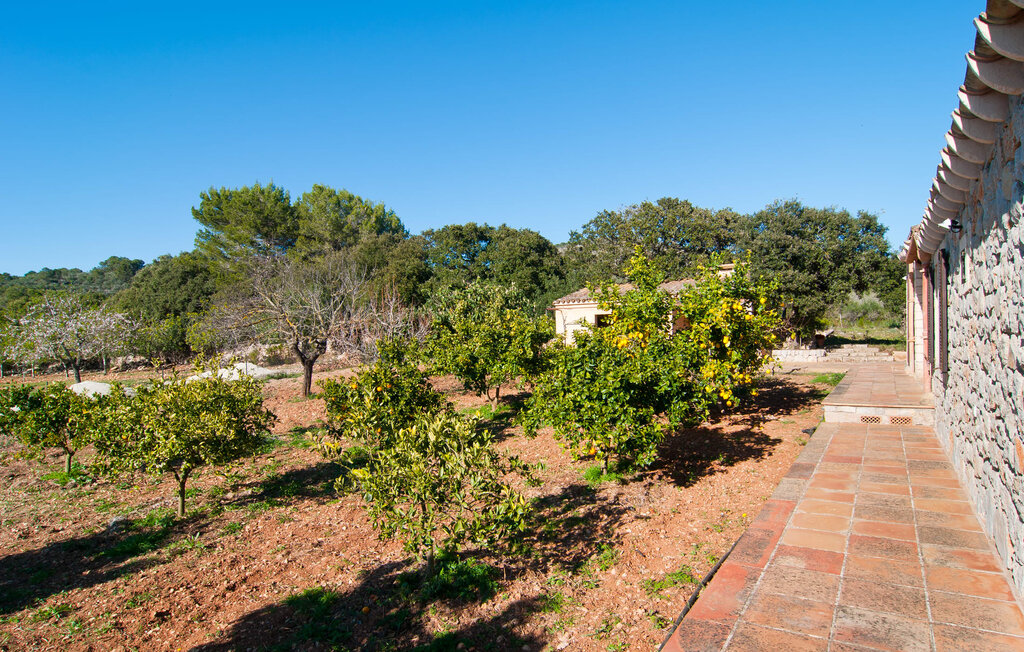 Feriehuse - Els Nou Cortons, Son Servera , Spanien - EMF479 21