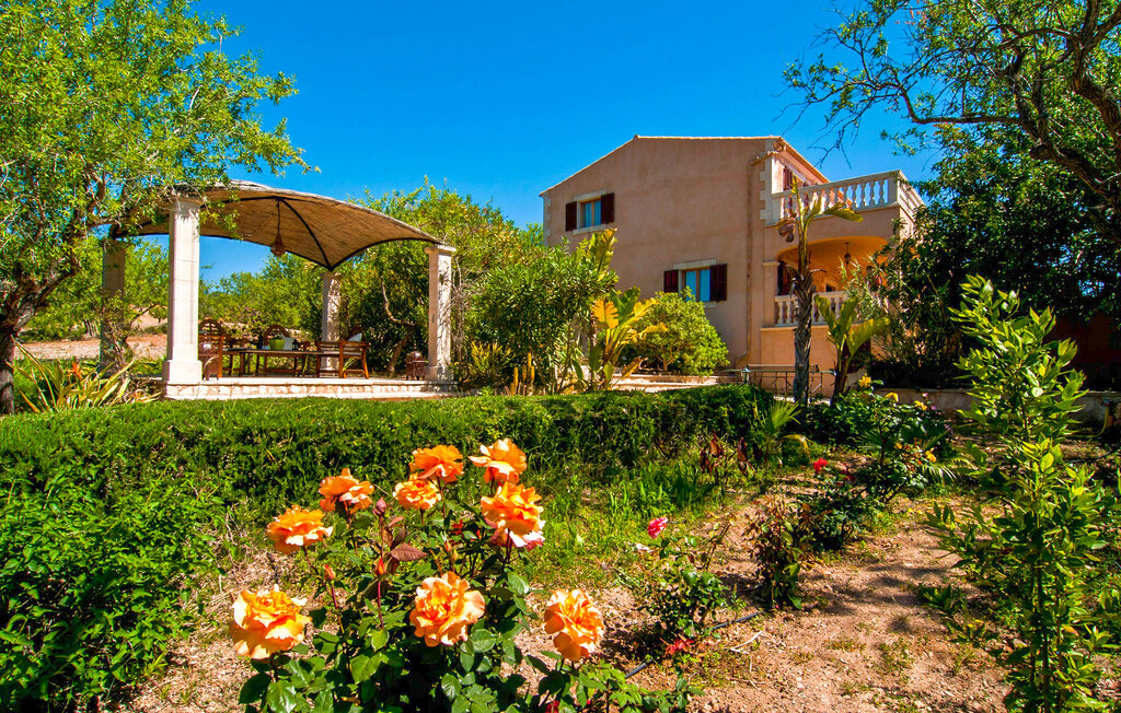 Ferienhaus - Roquera, Alqueria Blanca , Spanien - EMF361 14