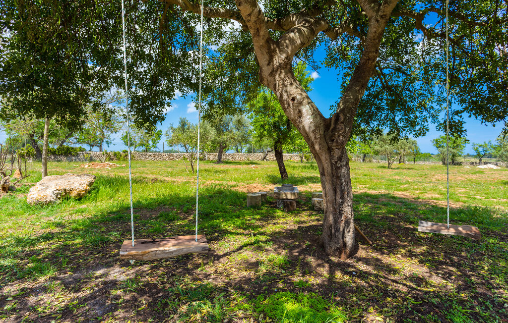 Location de vacances - Sa Torreta, Santa Margalida , Espagne - EMF498 22