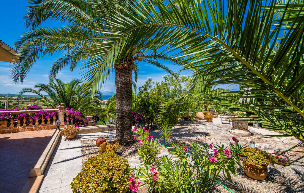 Ferienhaeuser - Monte y Mar, Colonia de Sant Pere , Spanien - EMF520 30