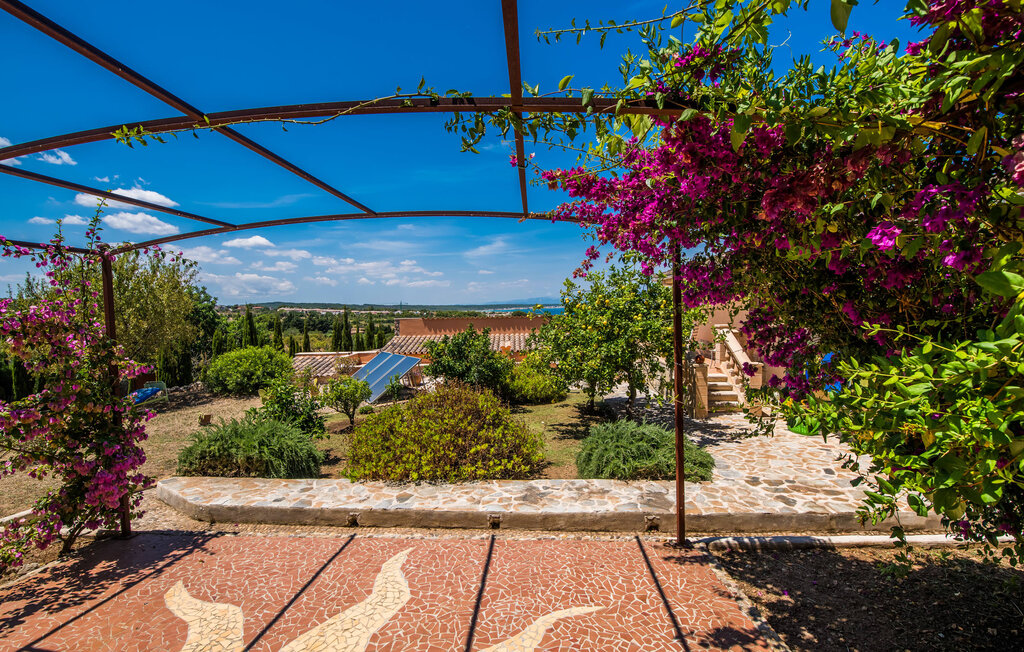Ferienhaeuser - Monte y Mar, Colonia de Sant Pere , Spanien - EMF520 31