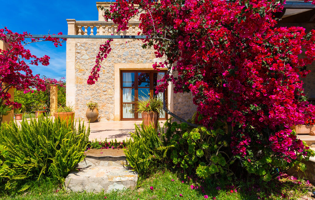 Feriehuse - Tolo, Son Servera , Spanien - EMF532 6