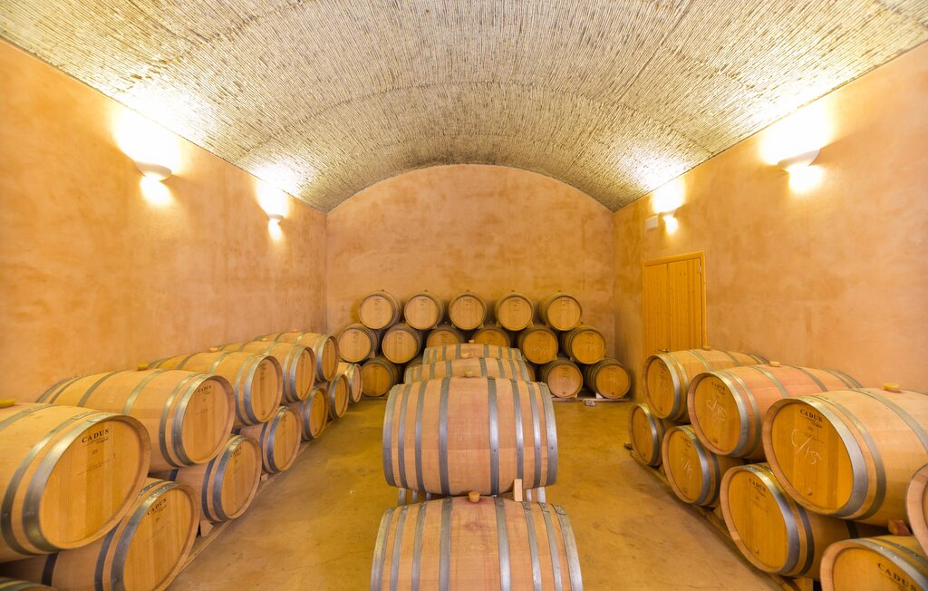 Feriehuse - Son Simo Vell, Alcudia , Spanien - EMF550 42