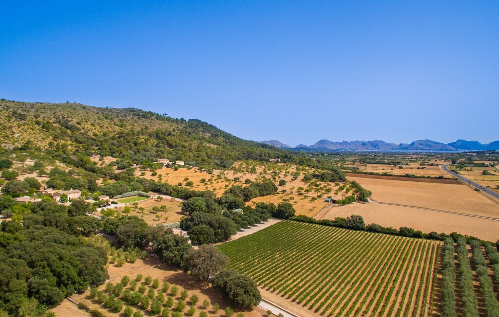 Feriehuse - Son Simo Vell, Alcudia , Spanien - EMF550 21