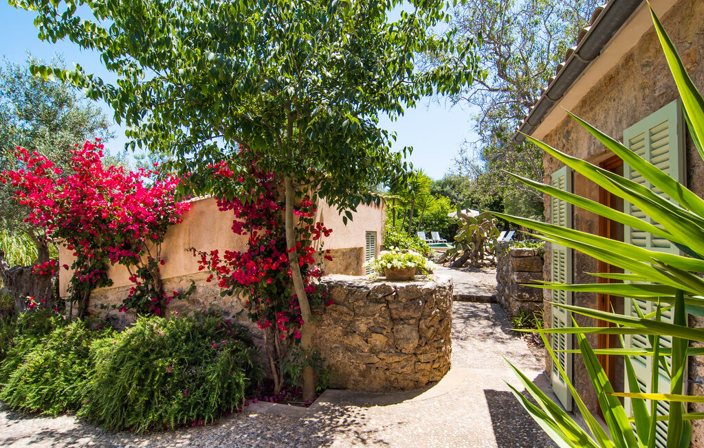 Semesterhus - Es Romagueral, Arta , Spanien - EMF541 6