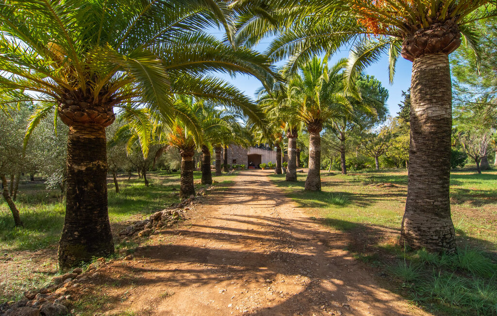 Ferienhaus - S'Erisal, Alaro , Spanien - EMF542 20