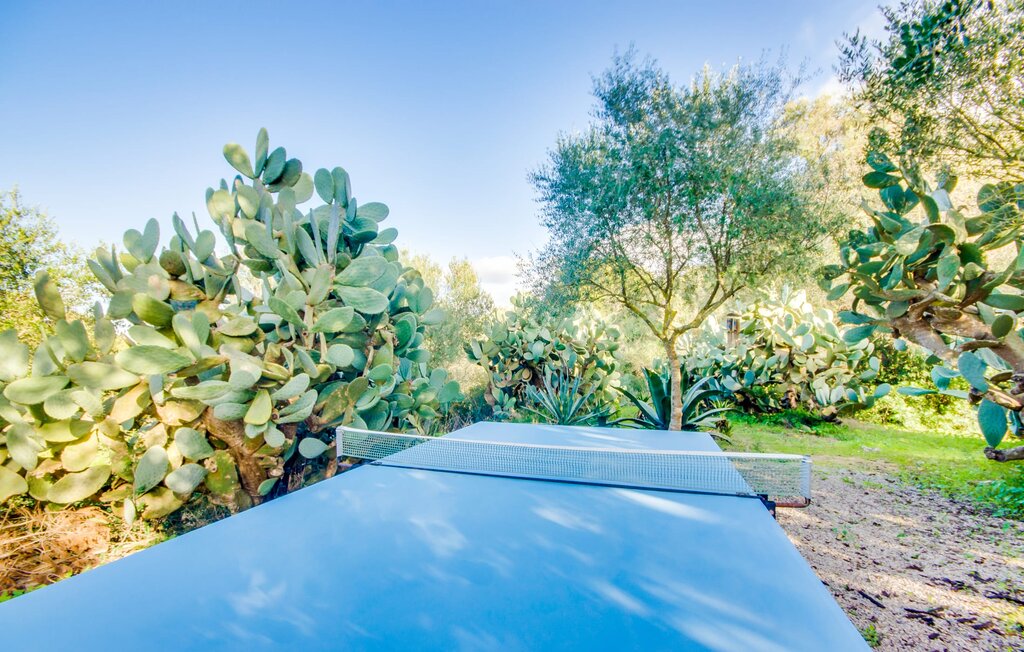 Feriehuse - Higo Chumbo, Porreres , Spanien - EMF580 5