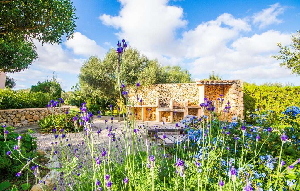 Feriehuse - Higo Chumbo, Porreres , Spanien - EMF580 4