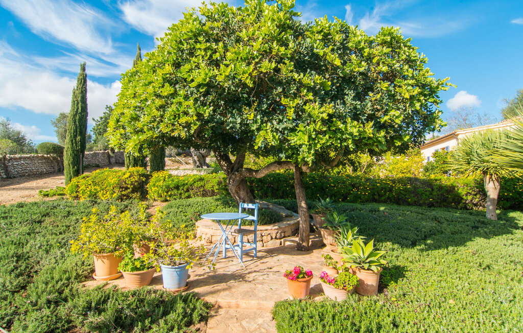 Feriehuse - Florinda de Bali, Arta , Spanien - EMF596 22