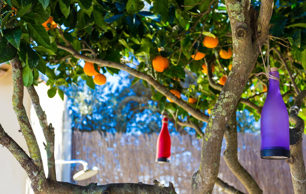 Domy wakacyjne - Ca Sa Madrina, Ariany , Hiszpania - EMF619 23