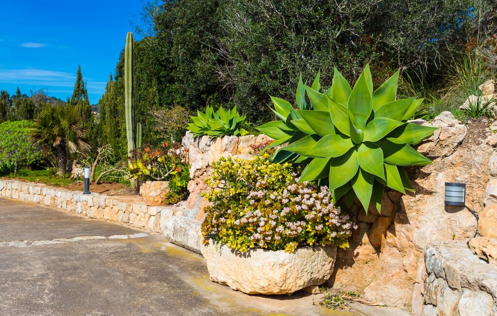 Ferienhaus - Son Galta, Cala Millor , Spanien - EMF620 29