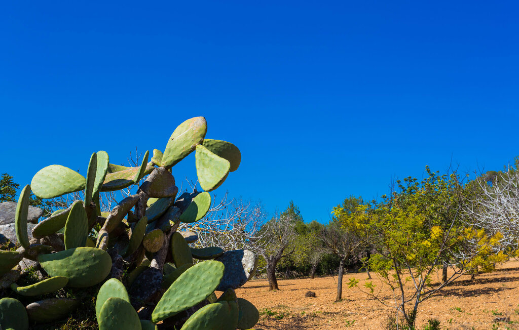 Ferienhaus - Can Safiro, Son Servera , Spanien - EMF629 23
