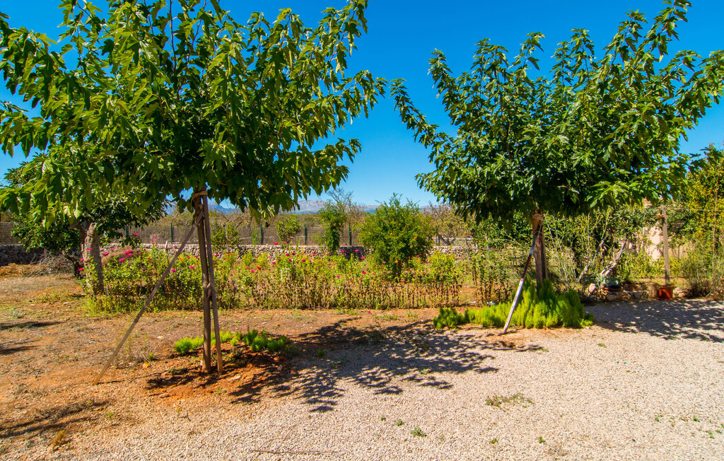 Domy wakacyjne - Ca Na Poveta, Santa Margalida , Hiszpania - EMF761 25