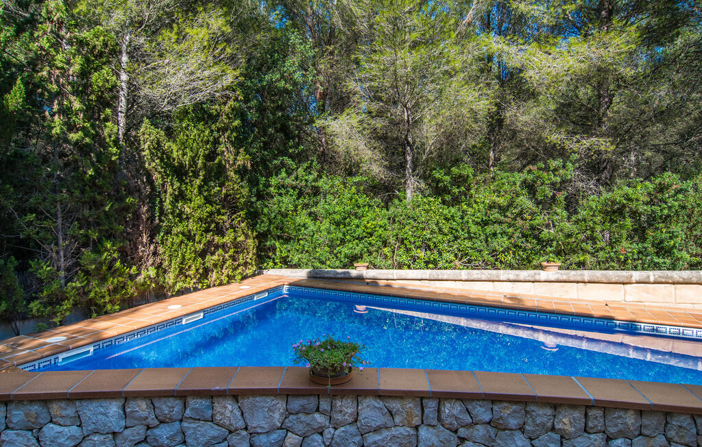 Feriehuse - Cocodrilo, Alcudia , Spanien - EMF767 3