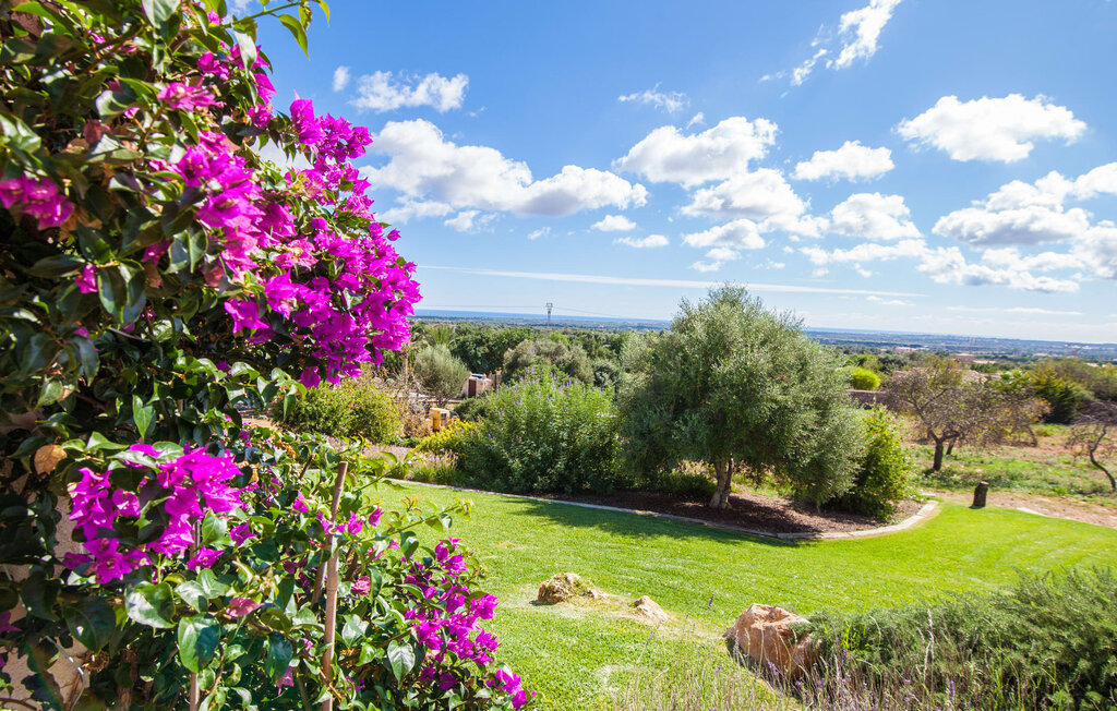 Ferienhaeuser - Taraluna, Alqueria Blanca , Spanien - EMF775 24