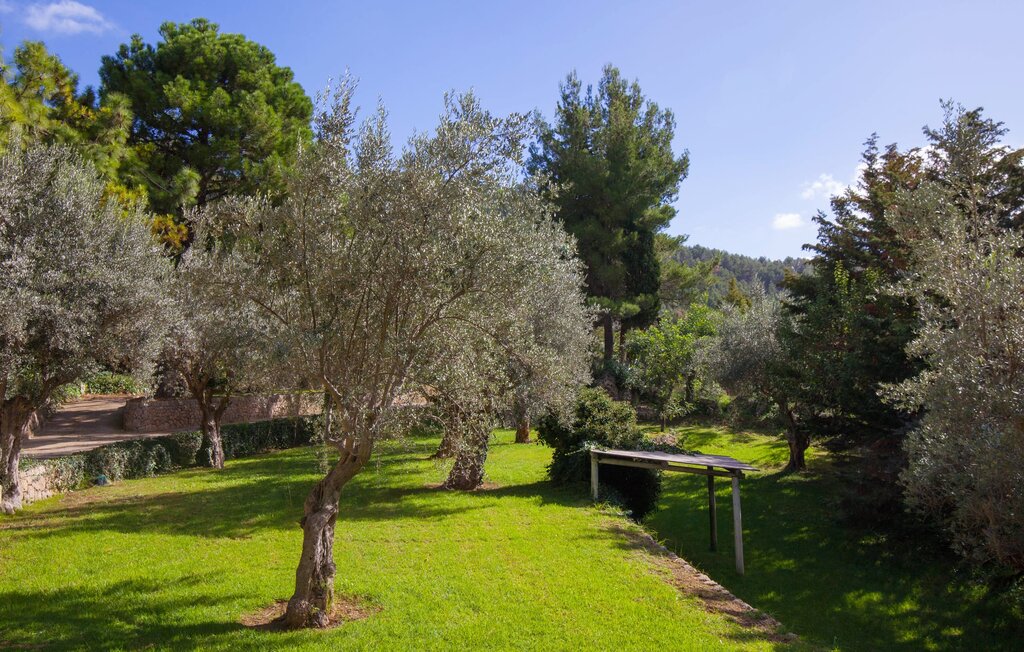 Ferienwohnung - Alfabia Nou Dos, Bunyola , Spanien - EMF791 26