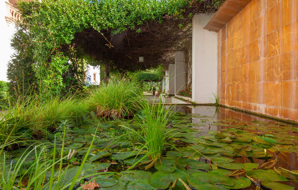 Ferienwohnung - Alfabia Nou Dos, Bunyola , Spanien - EMF791 21