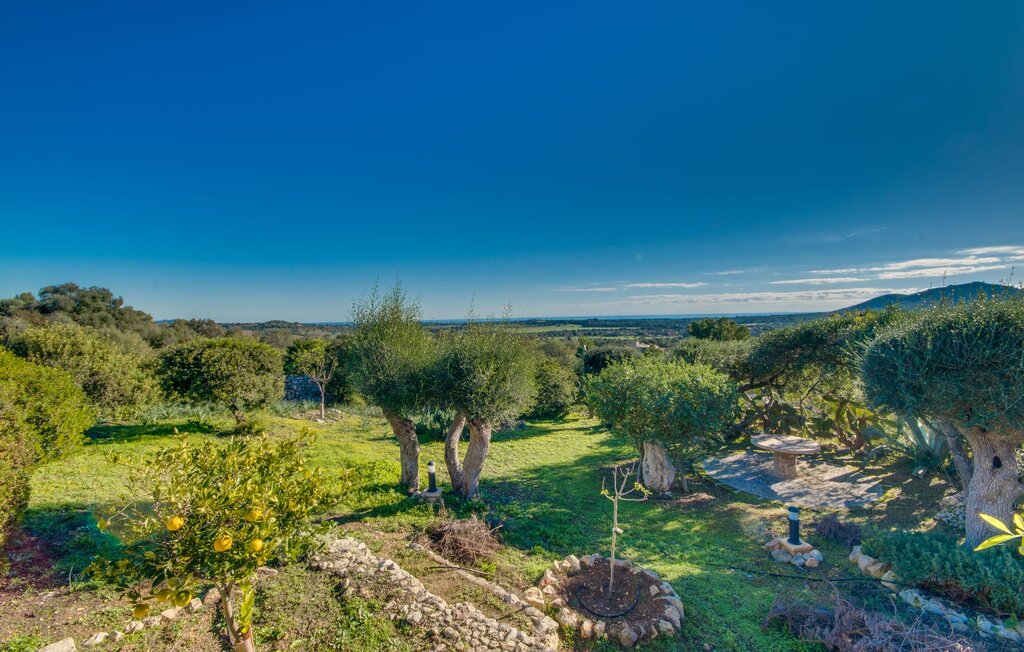 Kuća-za-odmor - Corralot, Manacor , Španjolska - EMF798 29